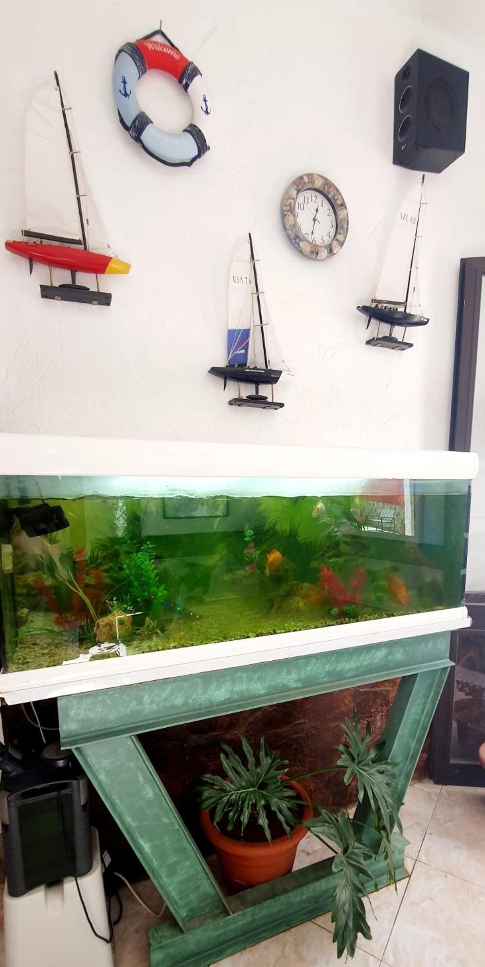 Wonderful White Appartament In Las Tortugas 플라야데라스아메리카스 외부 사진