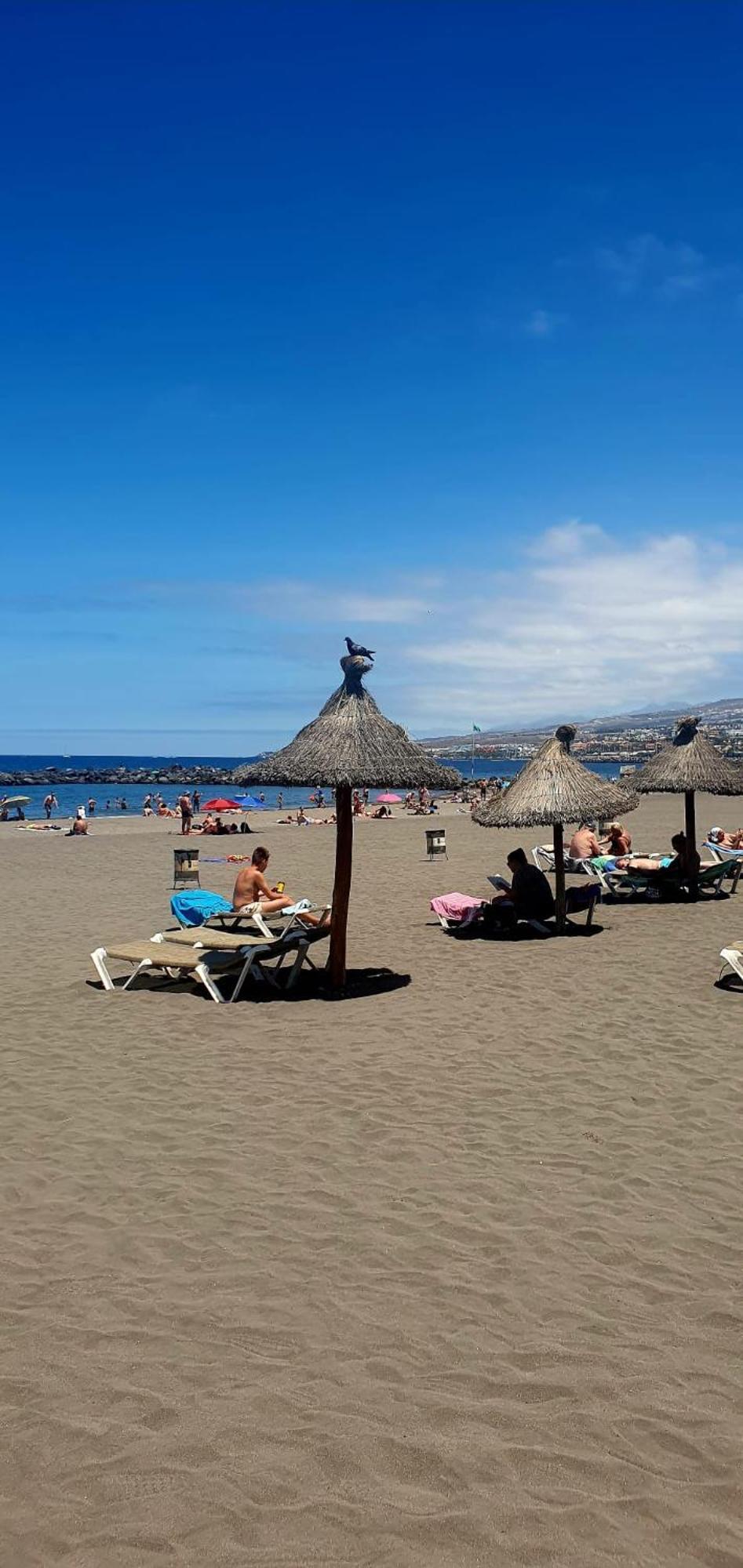Wonderful White Appartament In Las Tortugas 플라야데라스아메리카스 외부 사진
